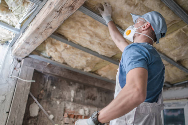 Best Eco-Friendly Insulation in Morongo Valley, CA