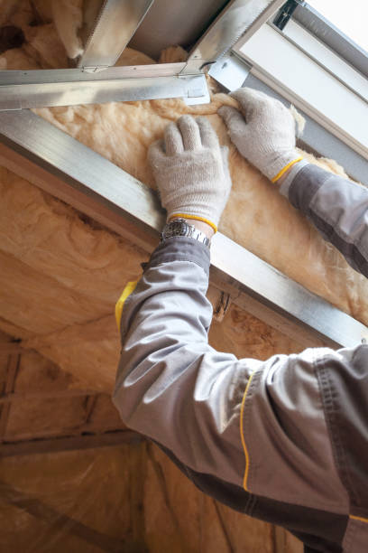 Best Insulation Maintenance and Repair in Morongo Valley, CA